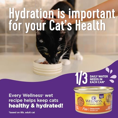 Wellness Complete Health Grain Free Canned Cat Food, Salmon, 5.5 Oz (Pack of 24) - Image 4