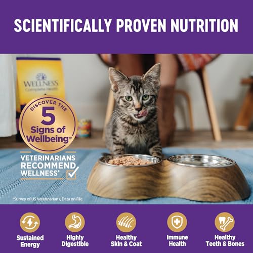 Wellness Complete Health Grain Free Canned Cat Food, Salmon, 5.5 Oz (Pack of 24) - Image 5