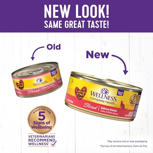 Wellness Complete Health Grain Free Canned Cat Food, Salmon, 5.5 Oz (Pack of 24) - Image 2