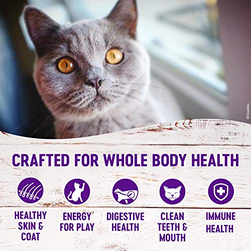Wellness Complete Health Grain Free Kitten Food - Image 4