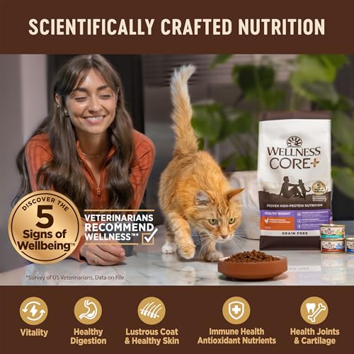 Wellness CORE+ Digestive Health Cat Food, Salmon & Rice - Image 3