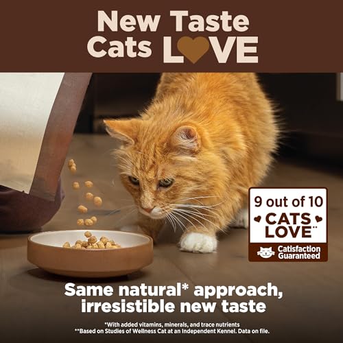 Wellness CORE+ Digestive Health Cat Food, Salmon & Rice - Image 4