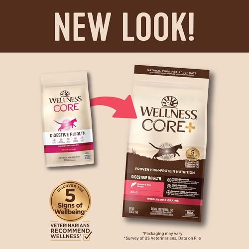 Wellness CORE+ Digestive Health Cat Food, Salmon & Rice - Image 2