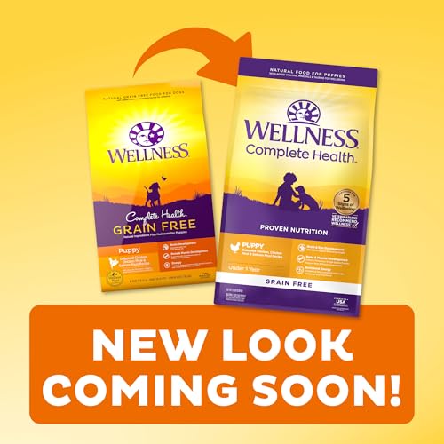 Wellness Grain Free Dry Puppy Food, Chicken & Salmon - Image 3