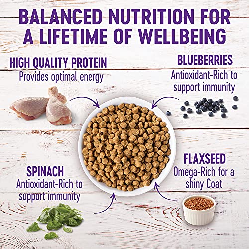 Wellness Grain Free Dry Puppy Food, Chicken & Salmon - Image 4