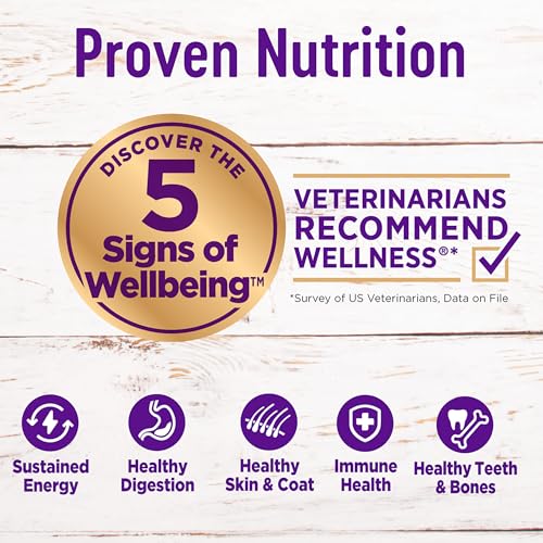 Wellness Grain Free Dry Puppy Food, Chicken & Salmon - Image 2