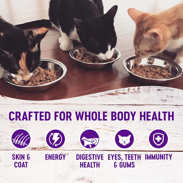 Wellness Healthy Indulgence Tuna & Mackerel Cat Food - Image 5