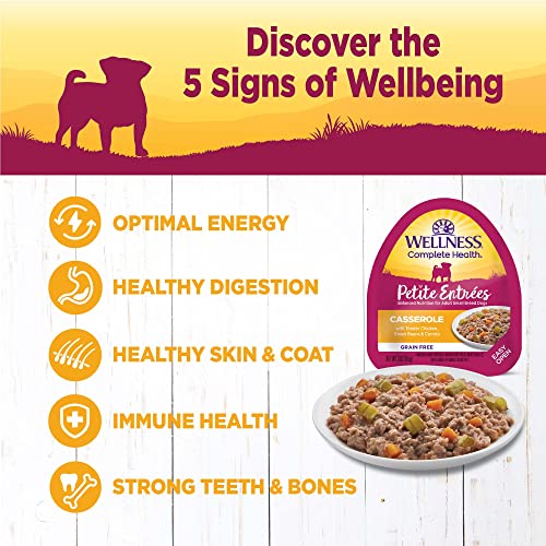 Wellness Petite Entrees Grain Free Dog Food, Tender Chicken, 3-Ounce Cup (Pack of 24) - Image 4