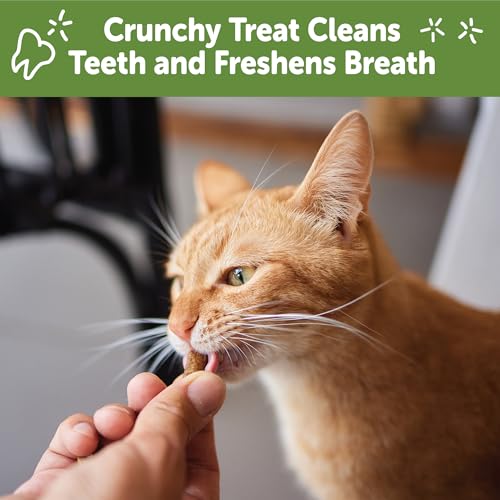 Whimzees Natural Cat Dental Treats, Chicken & Salmon - Image 5