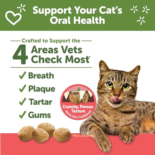 Whimzees Natural Cat Dental Treats, Chicken & Salmon - Image 2