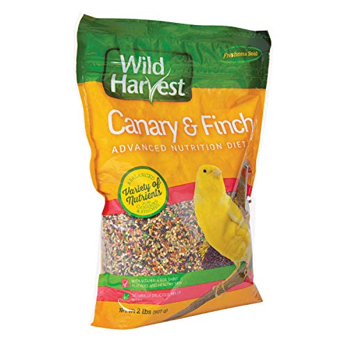 Wild Harvest Canary And Finch Food Blend B12492Q-001 - Image 4