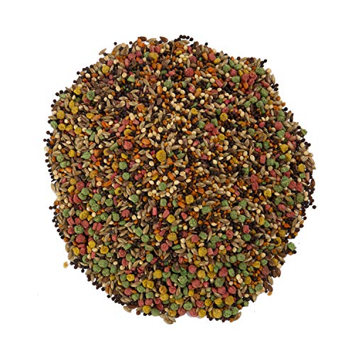 Wild Harvest Canary And Finch Food Blend B12492Q-001 - Image 2