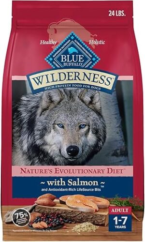 Blue Buffalo Wilderness High-Protein Salmon Dry Dog Food
