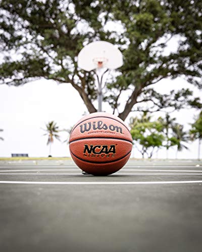 WILSON NCAA Limited Basketball - 29.5" and 28.5 - Image 4