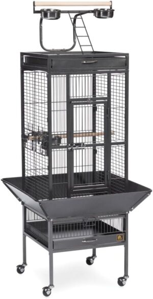 PH Prevue Hendryx Wrought Iron Select Bird Cage 3151BLK