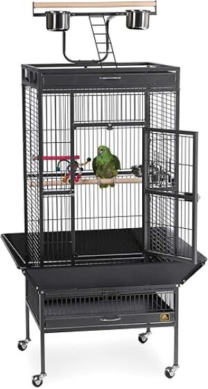 PH Prevue Hendryx Wrought Iron Select Bird Cage 3152