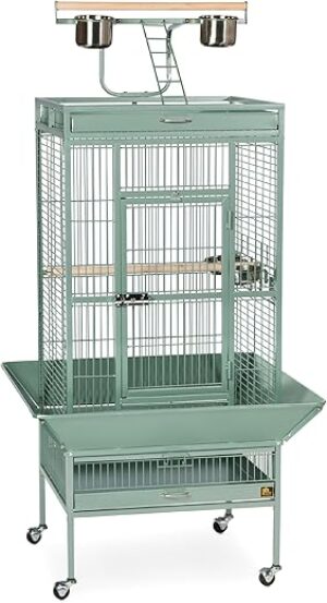 Prevue Pet Products Wrought Iron Select Bird Cage 3152SAGE