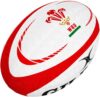 Gilbert WRU Official Replica Size 5 Ball
