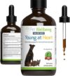 Pet Wellbeing Young At Heart Supplement For Pets 4 oz