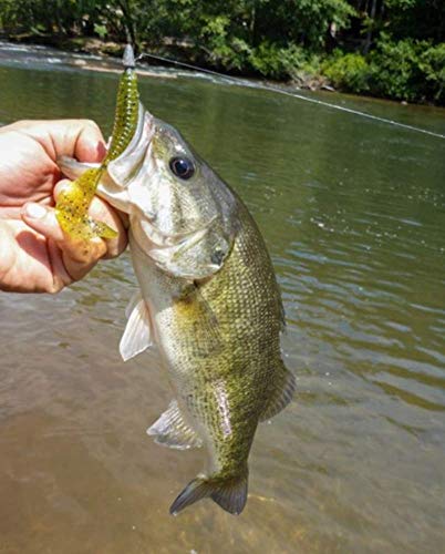 Yum Lures Grub Multi-Species Curly-Tail Lure - Image 2