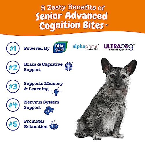 Zesty Paws Advanced Cognition Soft Chews For Dogs - Image 2