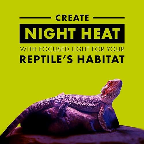 Zilla Incandescent Spot Bulb, Night Black - Image 2