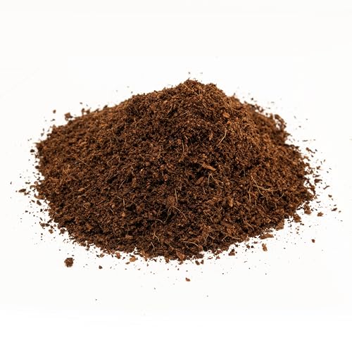 Zoo Med Eco Earth For Small Animals, Single Brick - Image 4