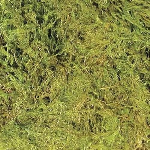 Zoo Med Frog Moss, 80 Cubic-Inches - Image 3