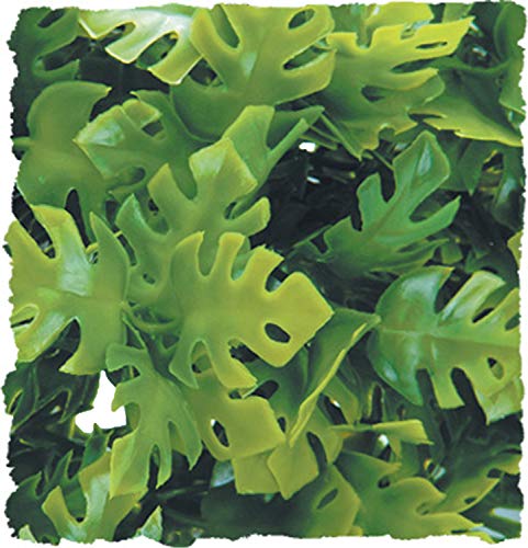 Zoo Med Natural Bush Plants, Large, Amazonian Phyllo - Image 2