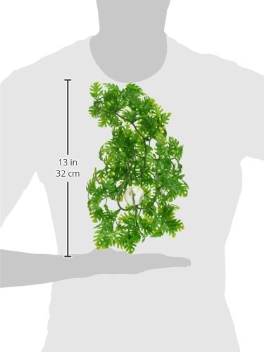 Zoo Med Natural Bushy Malaysian Fern, Small (SZMBU13) - Image 2