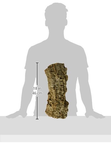 Zoo Med Natural Cork Bark, Flat, Large - Image 2