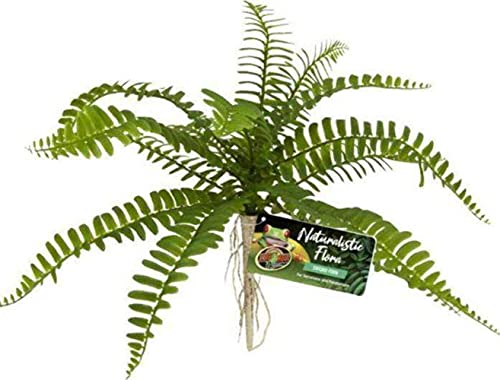 Zoo Med Naturalistic Flora Sword Fern For Terrariums - Image 2