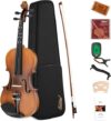 Eastar 1/4 Violin Set For Beginners EVA-3
