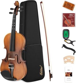 Eastar 1/4 Violin Set For Beginners EVA-3