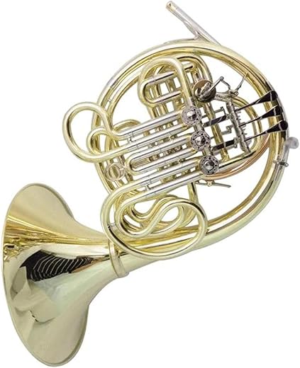 DZDZDZ 103 Style Double French Horn Set