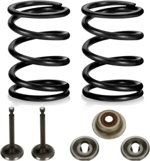 FVRITO 26lb Valve Springs Kit For Predator Engine