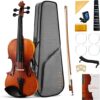 Fesley 3/4 Matt Violin Kit For Students