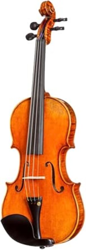 D Z Strad 4/4 Full Size Violin Model 250