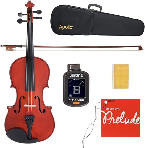 Apollo 4/4-Size Solidwood Violin With Case