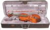 Stentor 4-String Acoustic Viola (1038L2-12)