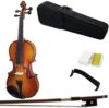 Paititi 4-String Acoustic Viola (PTTVA-14V)