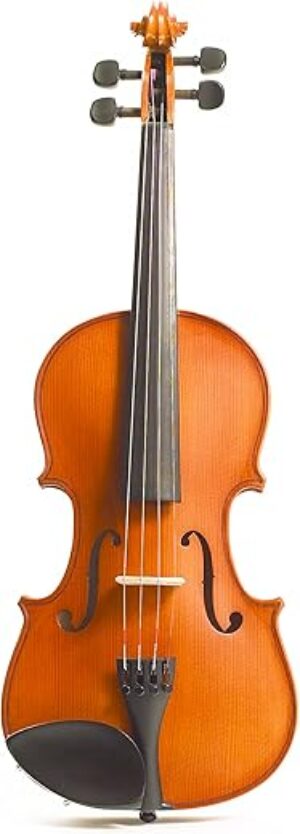 Stentor 4-String Violin, Brown, One Size (1560A)