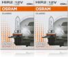 DAMA Automotive Lighting 9012 Classic Halogen Bulb 12V 55W