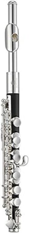 Jupiter ABS Body Piccolo, JPC1000