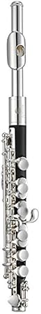 Jupiter ABS Body Piccolo, JPC1000