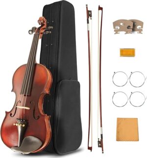 Ceciliec Acoustic Full Size Violin Starter Kit