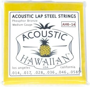 Asher Electro Hawaiian Acoustic Hawaiian Lap Steel Strings Set