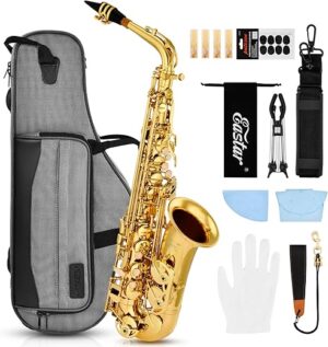 Eastar Alto Saxophone EAX-21 Full Kit