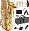 Fesley Alto Saxophone For All Skill Levels