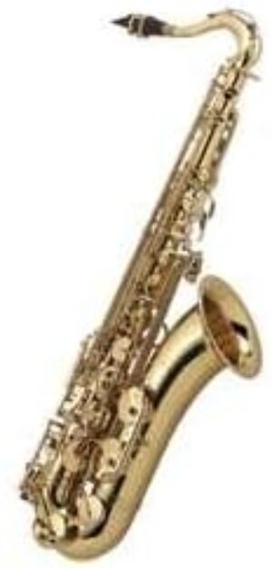 RS Berkeley Artist Series Tenor Saxophone